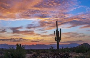 A Vibrant Arizona Desert Sunrise
