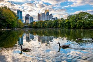 Atlanta skyline with geese swimming in pond